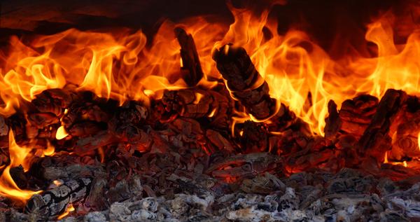 Erstmals mehr Holz verbrannt als verarbeitet