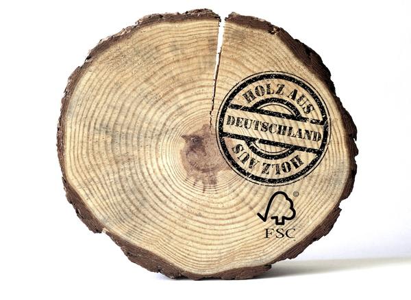 Ab sofort gilt schärferes Gesetz gegen illegal geschlagenes Holz