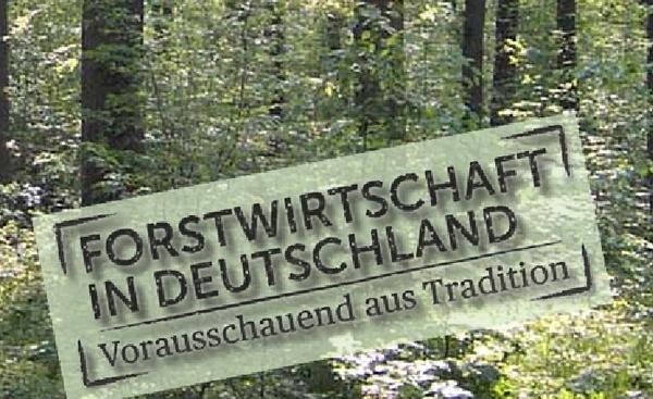 Deutsche Forstwirtschaft sucht nachhaltige Gesellenstücke