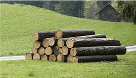 Deutsche Holzschutztagung 2016
