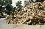 Holzrecycling in Singapur