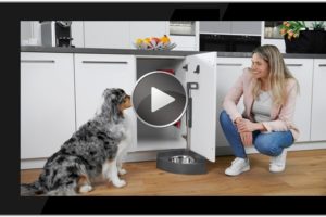 Die Haustierstation – Komfort für Hund, Katze & Co.