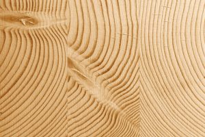 Holzbauteile richtig verkleben