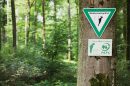 Deutsche Wälder mehrheitlich zertifiziert