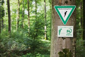 Deutsche Wälder mehrheitlich zertifiziert